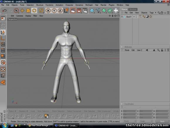 Free 3D Rigged Model For 3Ds Max 2017