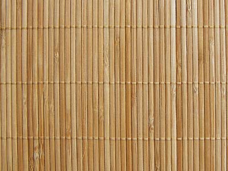 Бамбуковые стены купить. Бамбуковая стена. Бамбук Палермо WS 01. Бамбуковая плита лист 2440х1220. Бамбуковые панели для стен.
