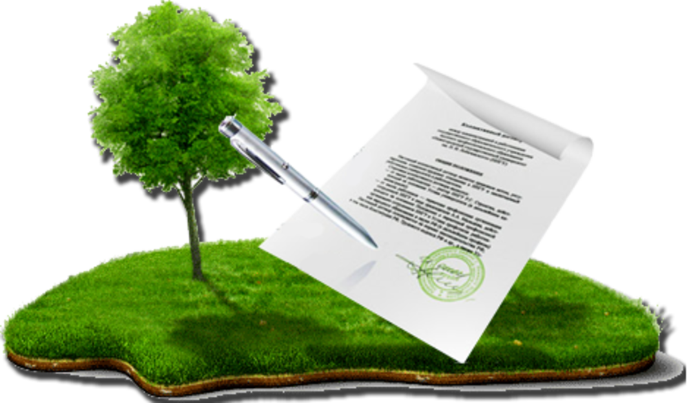 Документы для оформления права собственности на земельный участок .