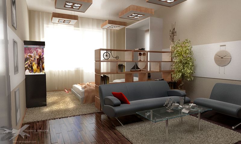Дизайн совмещенных зала и спальни