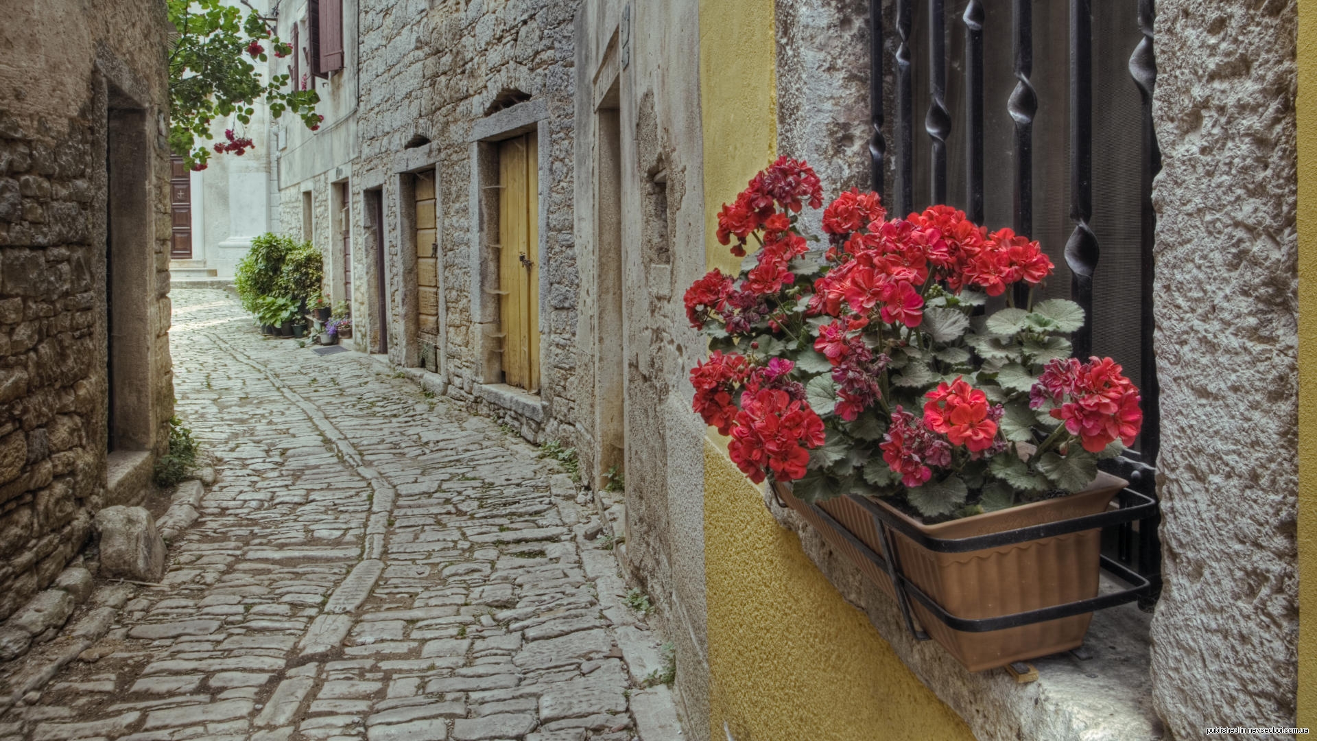 Италия, улочки, цветы, зелень бесплатно