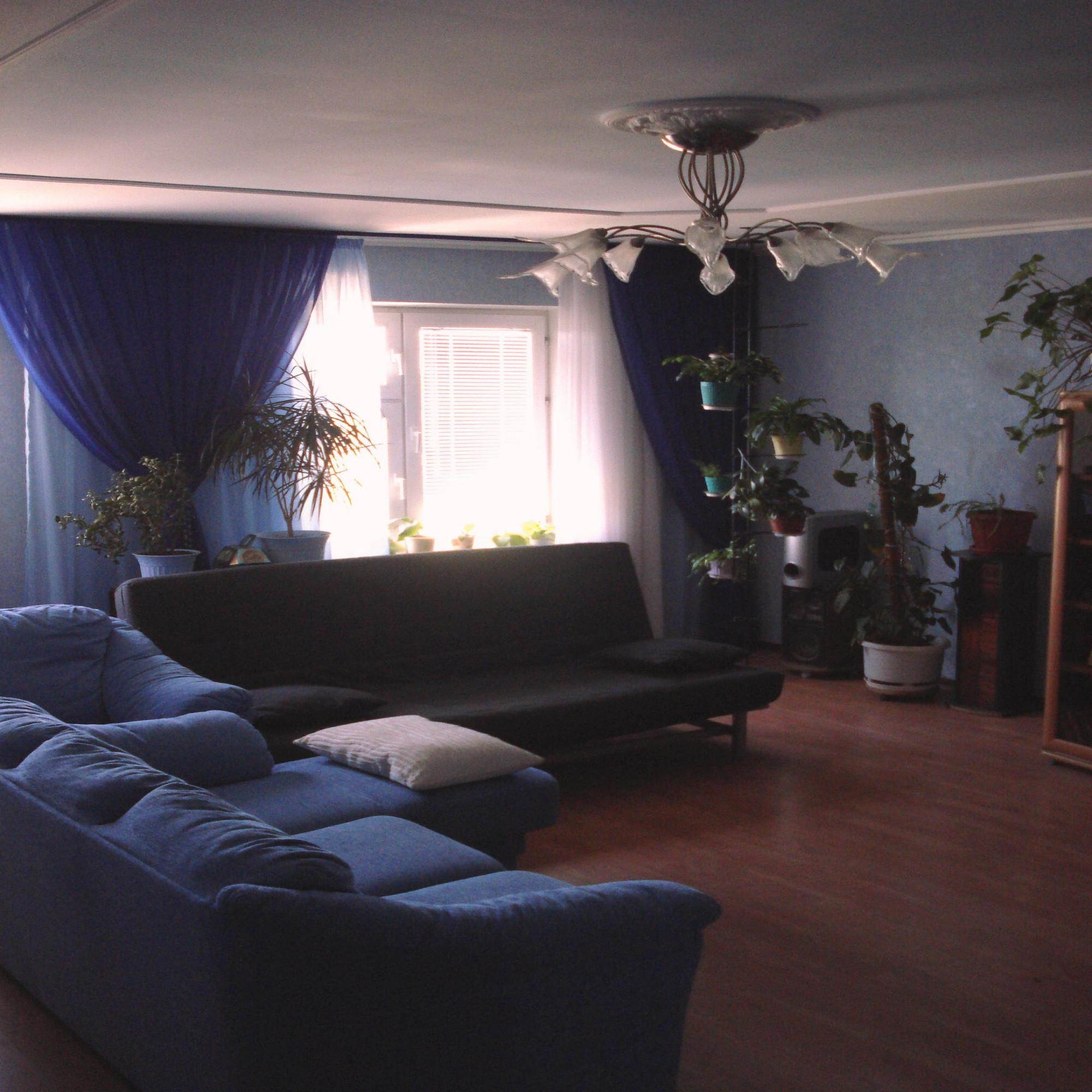 Оформление зала в бело синем цвете