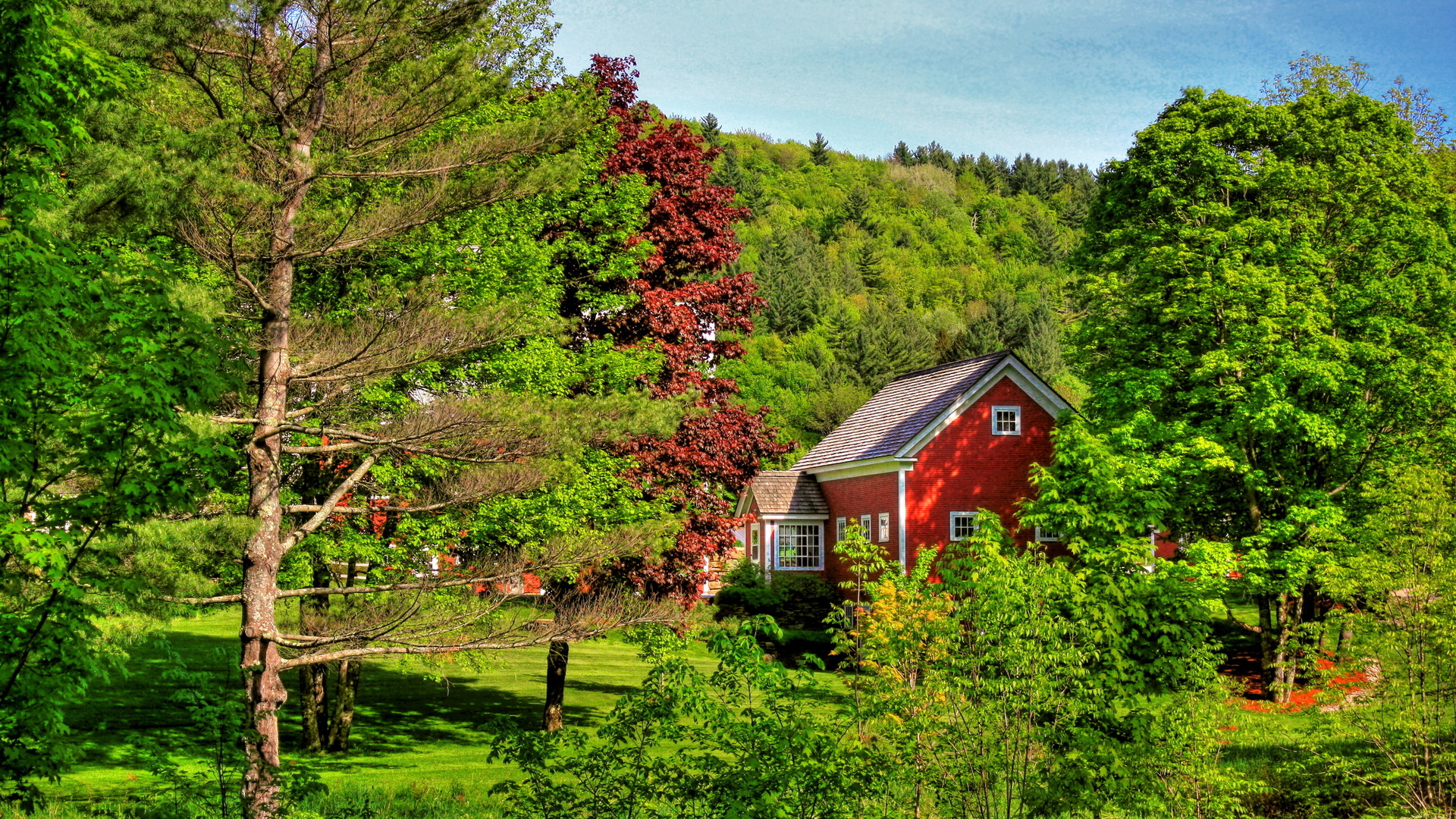 Фото домик в поле