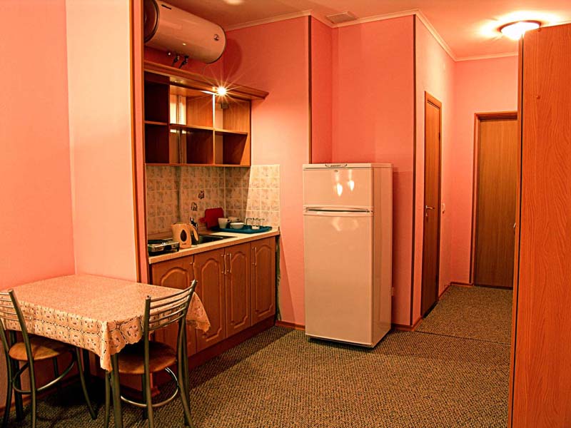 Дома гостинка. Евроремонт в комнате общежития. Кухня в комнате в общежитии. Комната в общежитии с душем и кухней. Комната в общежитии квартирного типа.