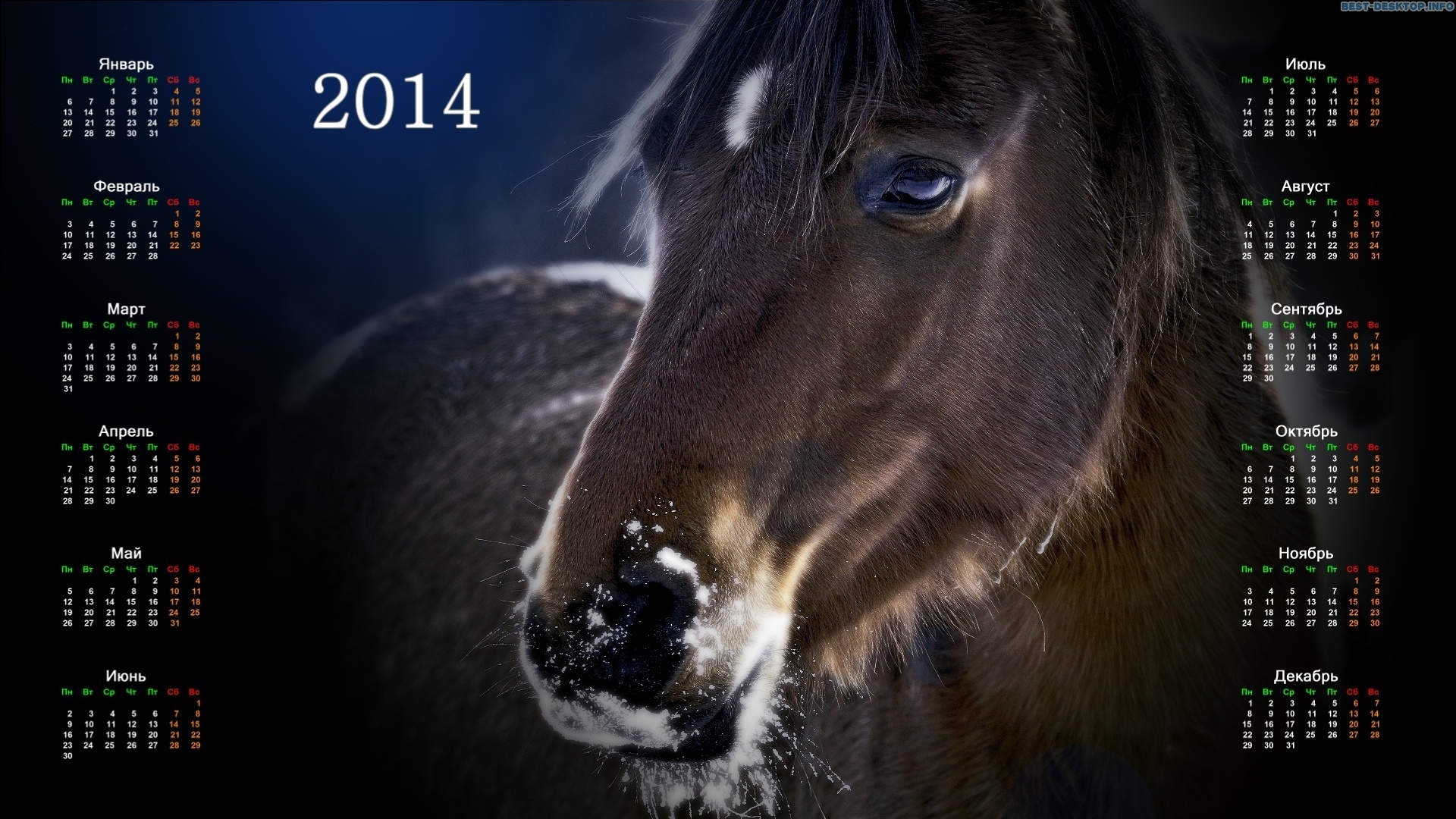 2015 год лошадь. Календарь 2014 года. Год лошади 2014. Календарь 2014 год лошади. Год лошади 2014 фото.